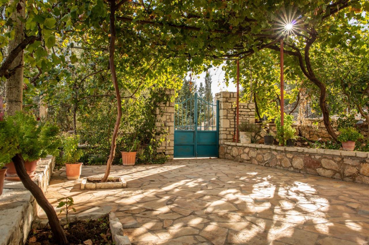 Apartments Aneta'S House هيماري المظهر الخارجي الصورة