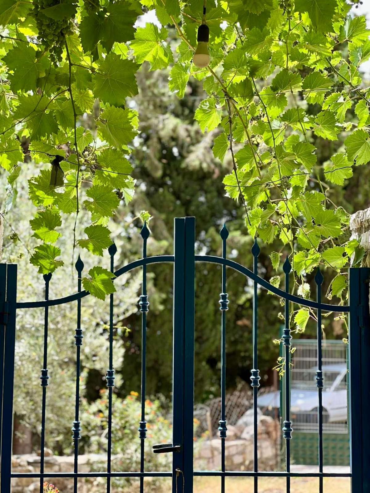 Apartments Aneta'S House هيماري المظهر الخارجي الصورة